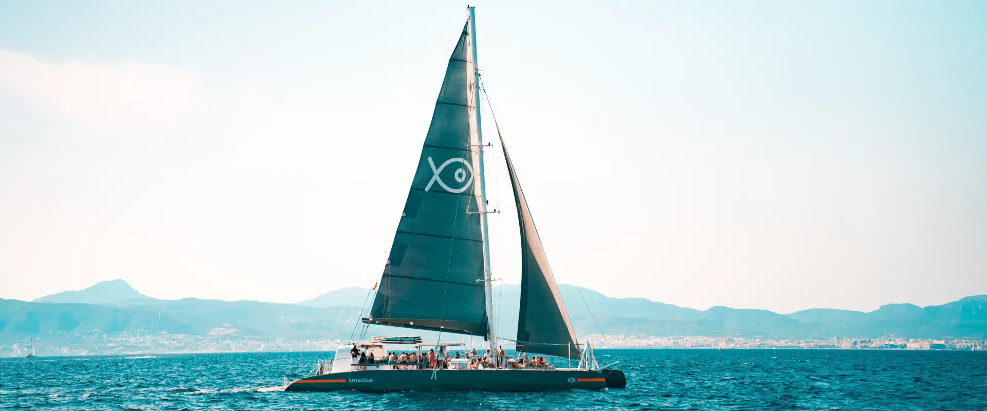 Catamaran navegando